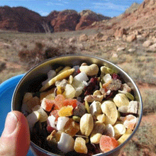 Cargar imagen en el visor de la galería, Seal Cup Médium